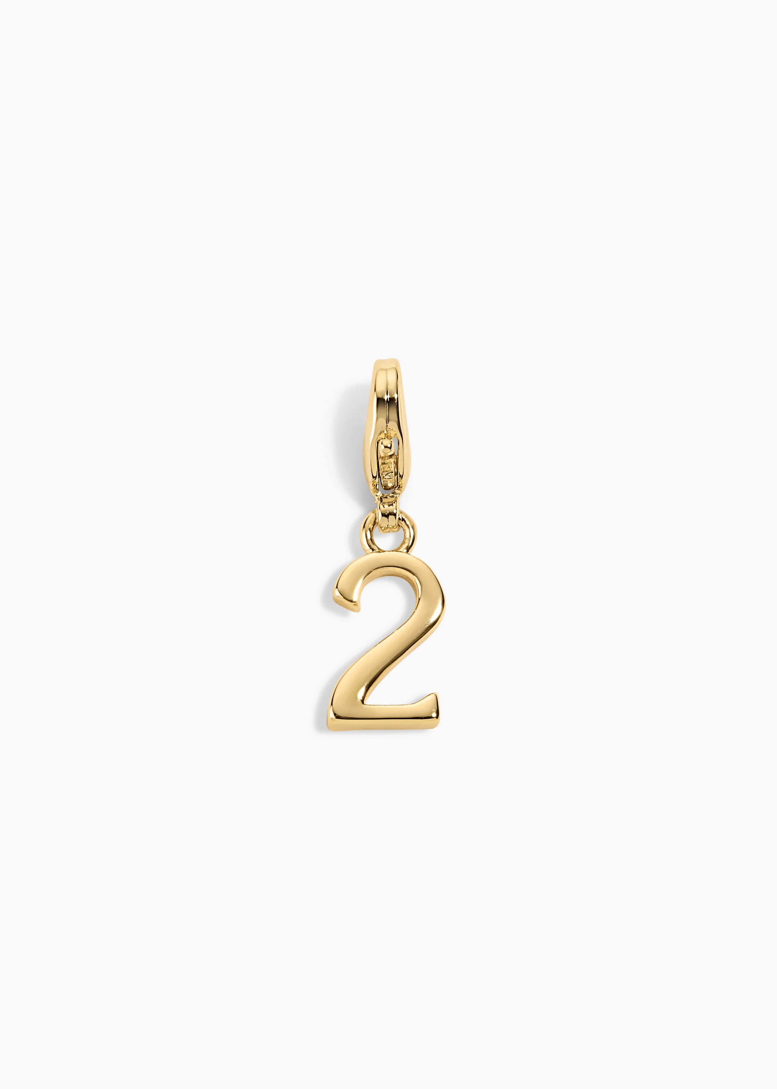Number Charm - Image 4